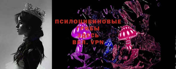 МДПВ Семёнов