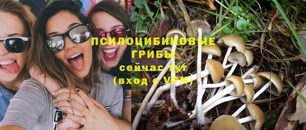 МДПВ Семёнов